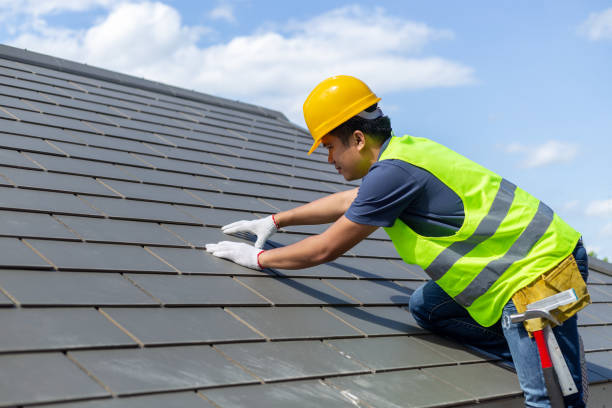 Best Solar Panel Roofing Installation  in Hodgkins, IL