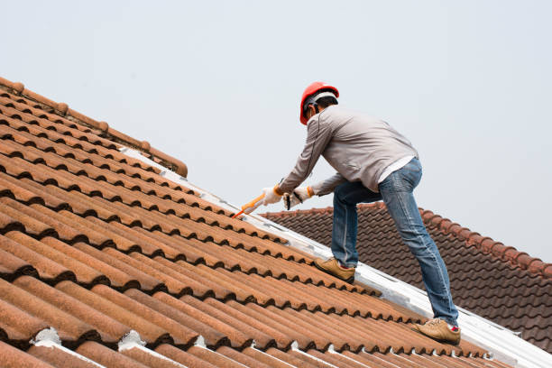 Reliable Hodgkins, IL  Roofing repair and installation Solutions