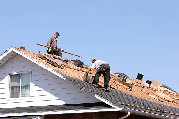 Roof Coating Services in Hodgkins, IL