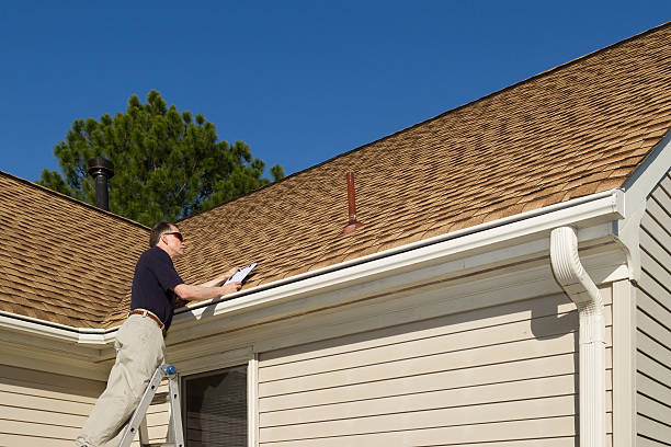 Best Roof Coating and Sealing  in Hodgkins, IL